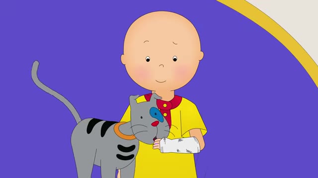 Caillou breaks a bone! | Caillou - WildBrain | Learning for Children